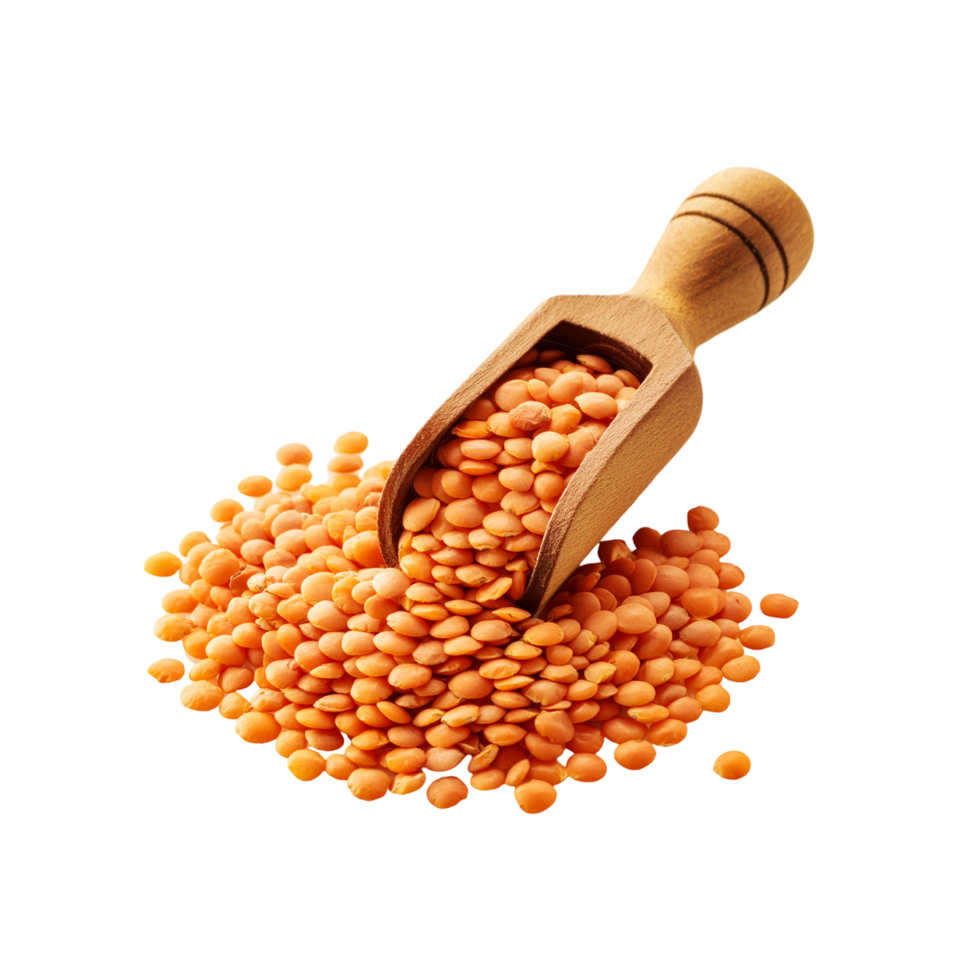 دال مسور /فی کلوگرام